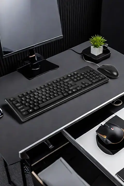 双飛燕 有線キーボードマウスセット【デスクトップ用・USB接続・ゲーミング対応】