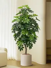 高級感漂うフェイク植栽 ダックフットモク 大型フロア装飾品【インテリア・リビング用】