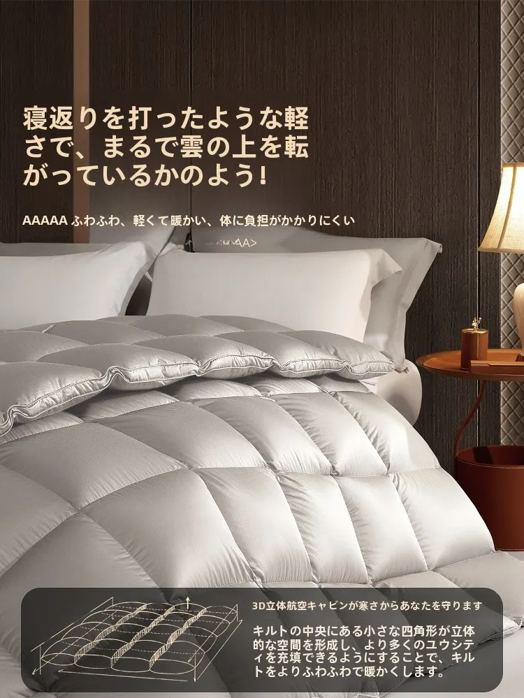 Beyond home ホワイトダックダウン羽毛布団：クリーニング方法と価格帯の実態解説