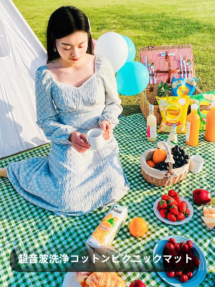 家でも使えるアウトドア用品として、ピクニックマットは本当に必要なのか？