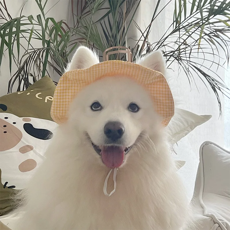 犬の帽子 おすすめ5選は？通気性・防寒・かわいいデザインで選ぶベストな選び方