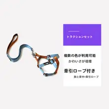 愛犬用 胸当てハーネス【中小型犬用・散歩用・引っ張り防止】