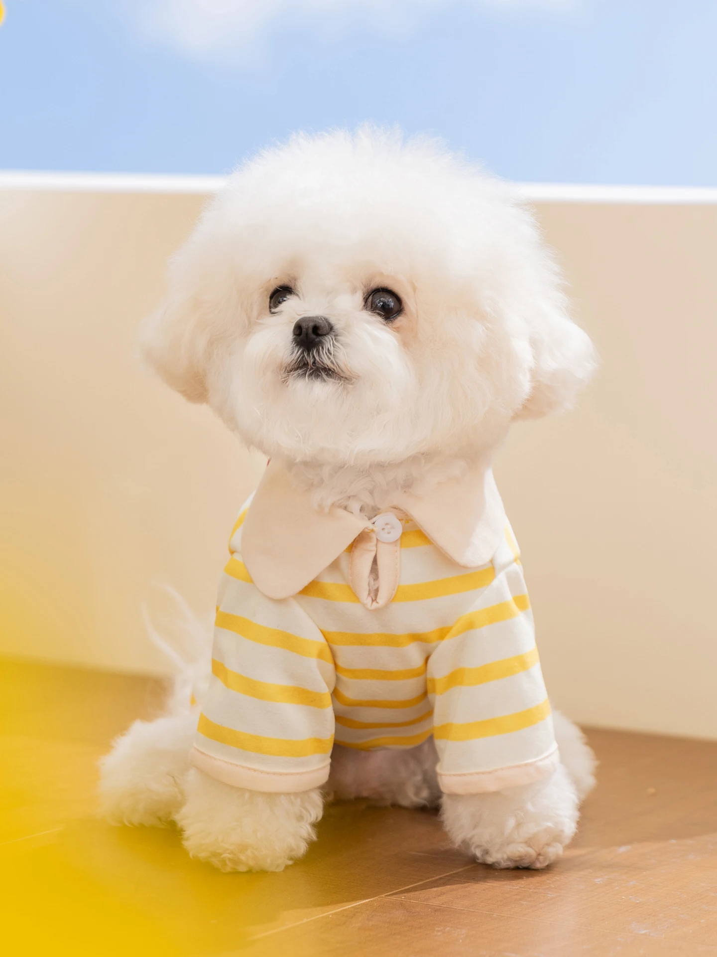 hipidog 犬用夏用薄手カートゥーン柄ストライプ服：通気性とデザインのバランスを実現
