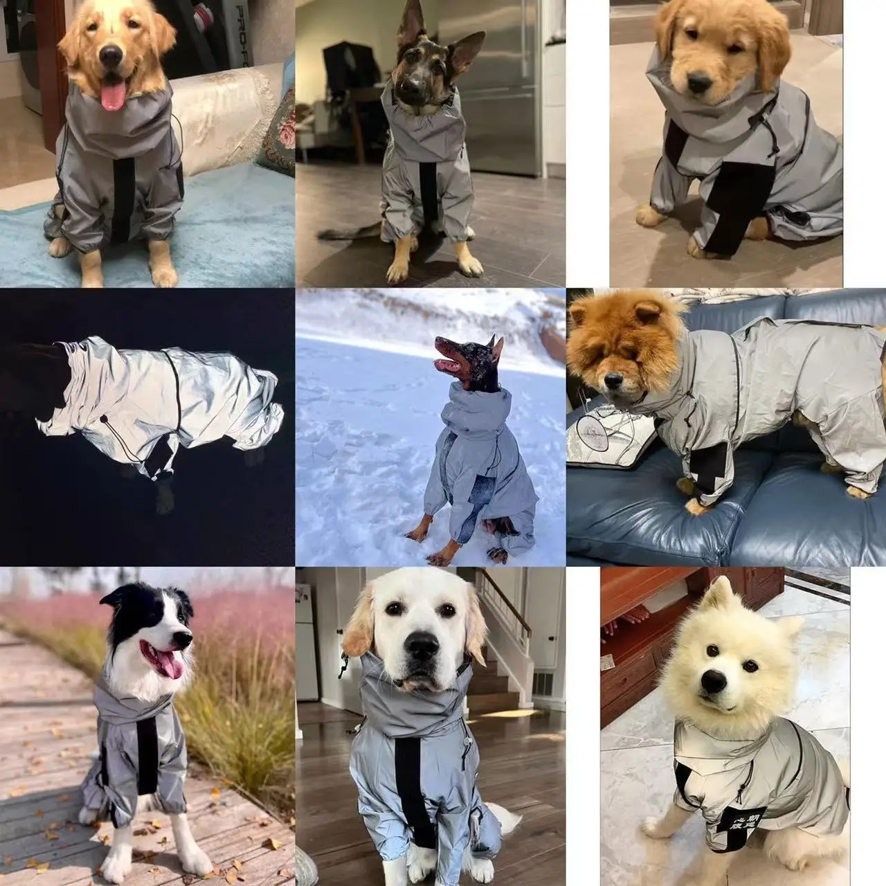 犬のお散歩グッズをコスパ良く揃える方法｜晴雨兼用アウトドアジャケットの実測ガイド
