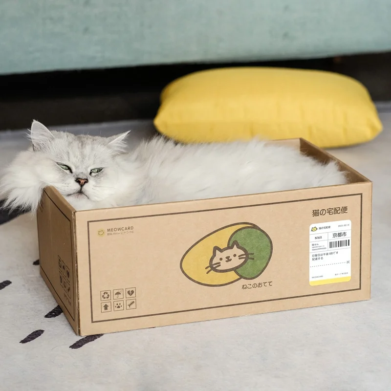 メオカード 段ボール製猫用爪研ぎボックス：一人暮らしの猫飼育に最適なスクラッチボードの選定ガイド