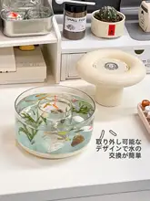 ミニ発光水槽【デスク用・エコボトル・金魚飼育対応】
