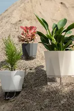 怠惰な自動吸水 植木鉢 家庭園芸