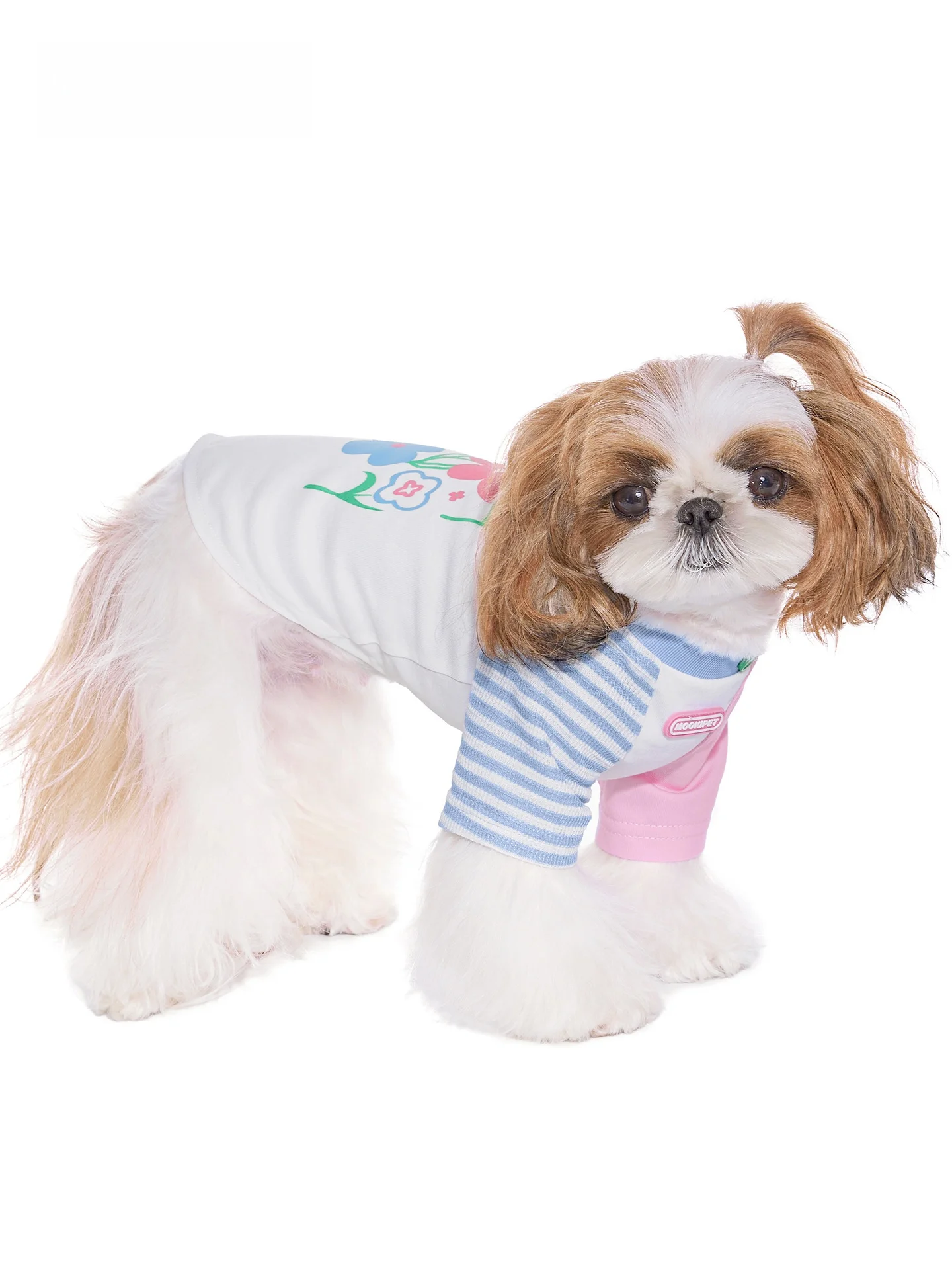 春用犬用Tシャツ：mooki petの涼感デザインが夏のペットライフをサポート