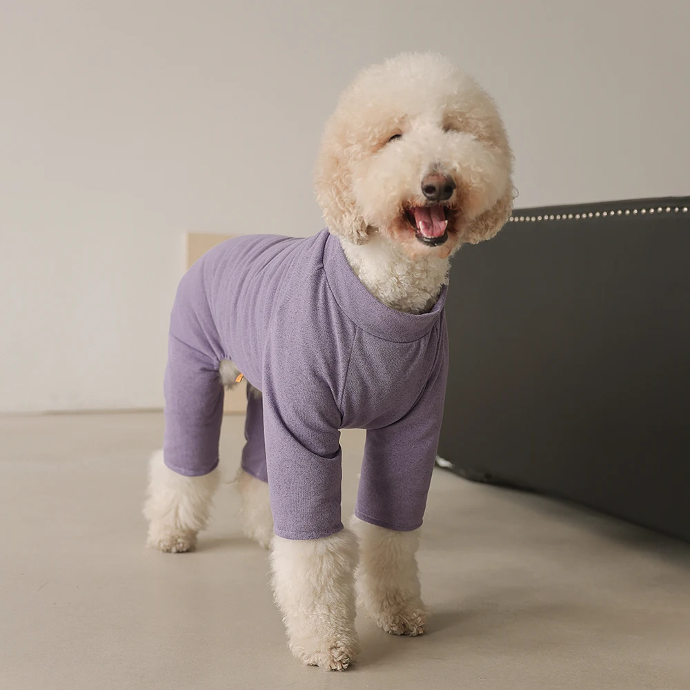 大型犬の服をどう選ぶ？実は「四脚ジャケット」が秋冬の暮らしを彩る