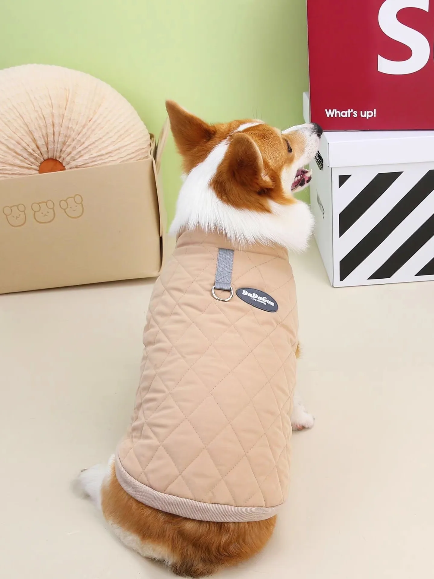 犬のお散歩グッズをコスパ良く揃える方法　フリースベストの選び方徹底解説