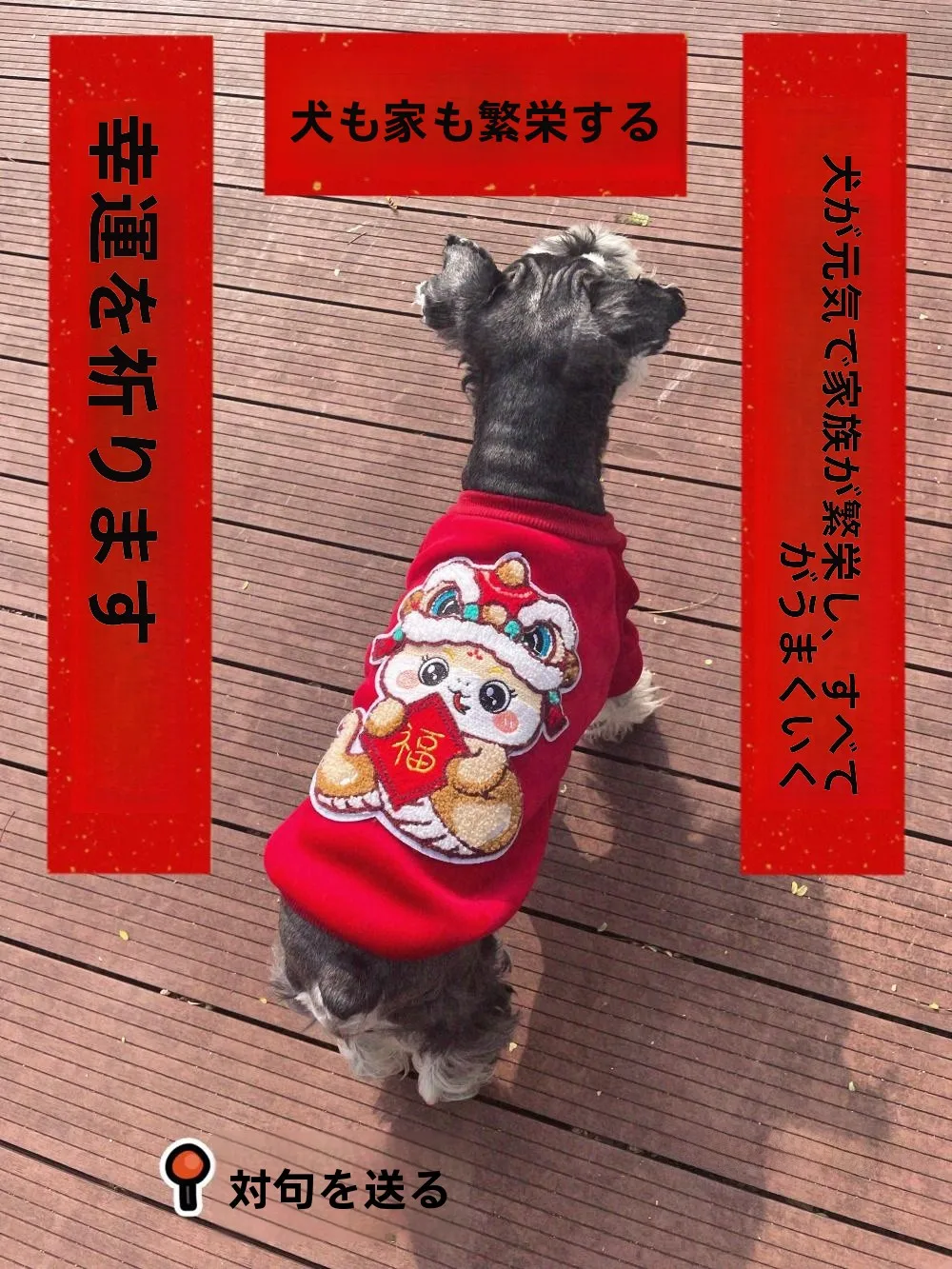 犬用ダブルレイヤーシルクベルベット保温服：冬の寒さ対策に最適な素材とサイズ選びのガイド
