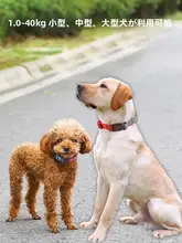 ペット用 犬の首輪【小型犬・中型犬対応・調整可能・可愛いデザイン】