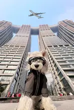 ペット用防水レインコート【帽子付き・脱着可能・小型犬用・アウトドア】