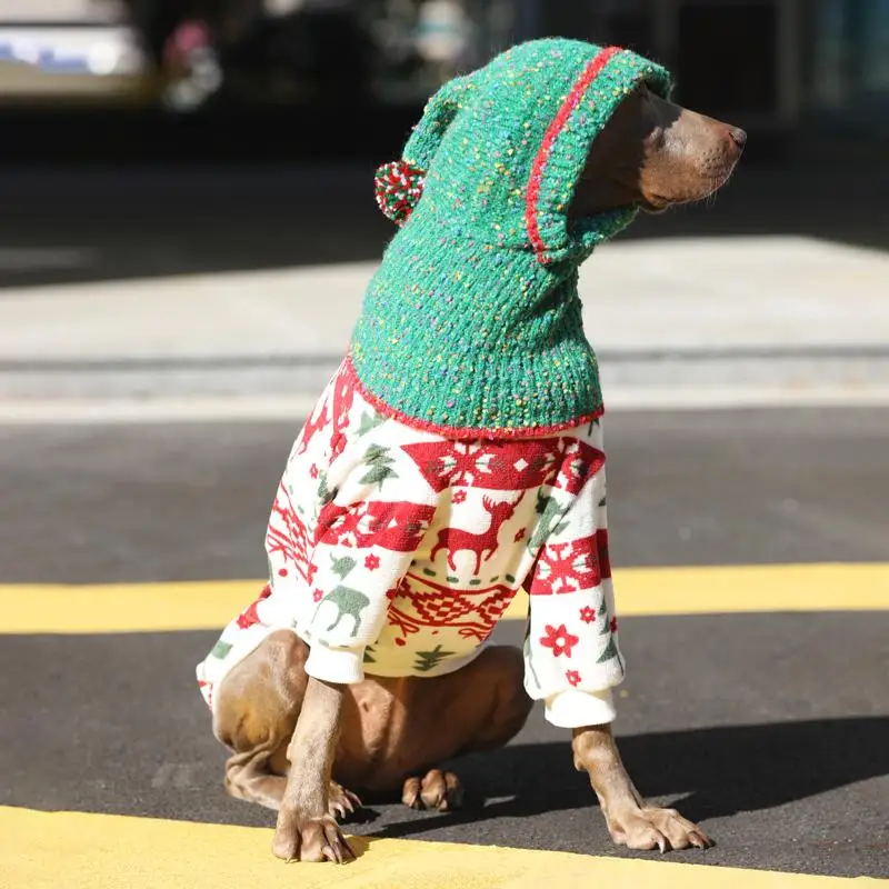 中型犬 レインコート   おすすめの選定基準と実用性の検証