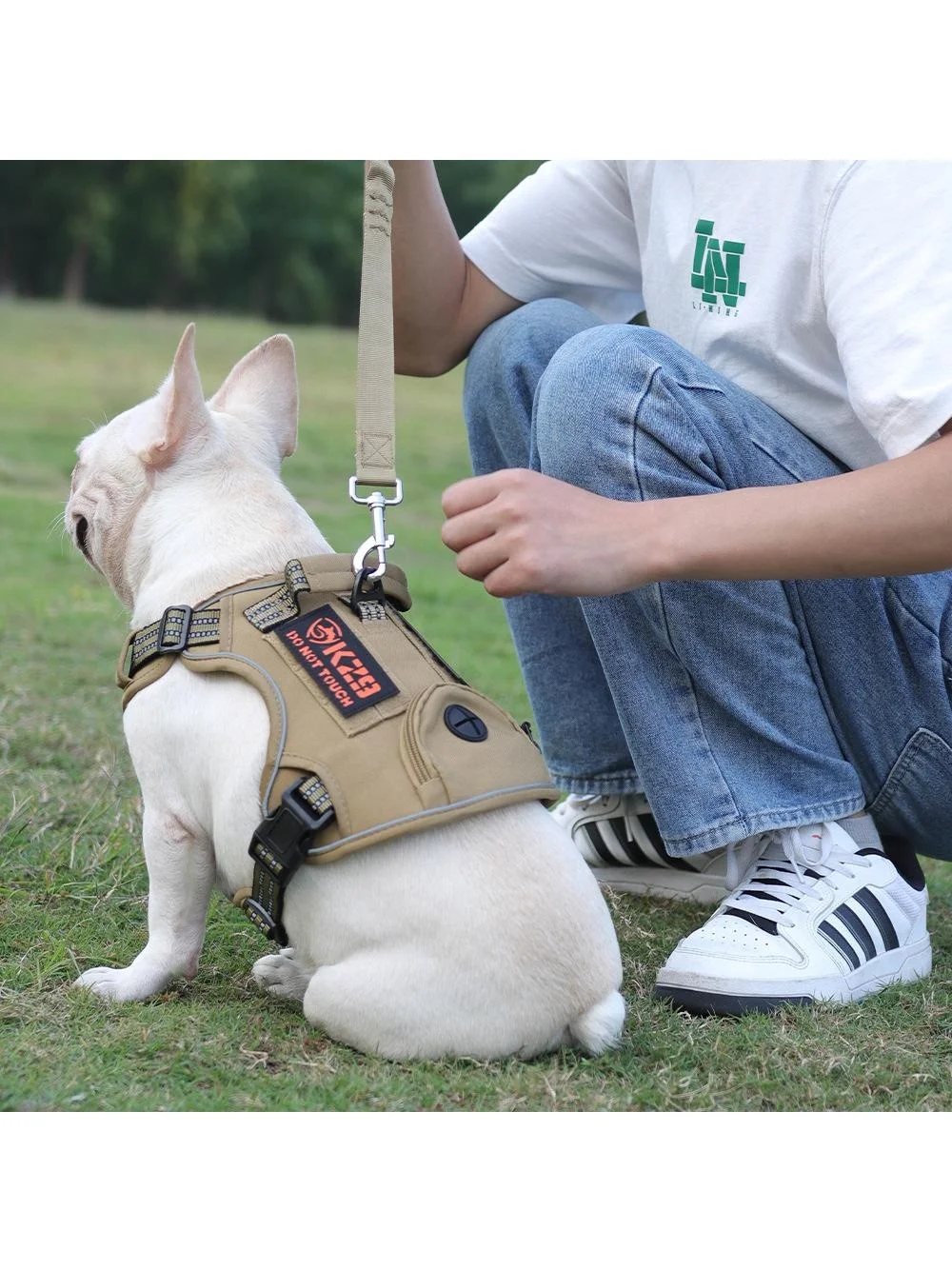 犬のお散歩グッズをコスパ良く揃える方法 - タクティカルハーネスのサイズとリード機能
