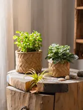 ミニ花壇風のコンクリート製フラワーベース【グリーン植栽・デスク用・小型】