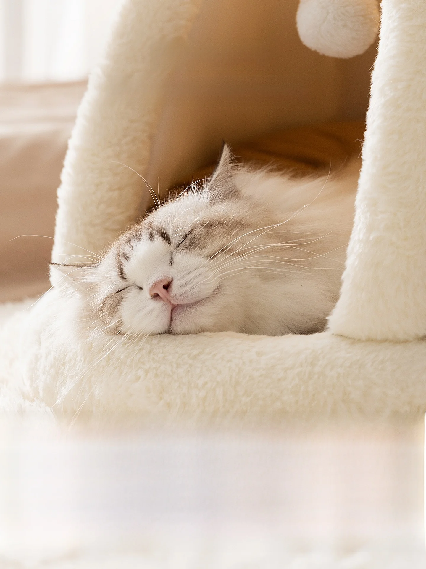 猫の巣 冬用 厚手 テント 密閉型 保温：一人暮らしにおける冬季の猫の保暖対策