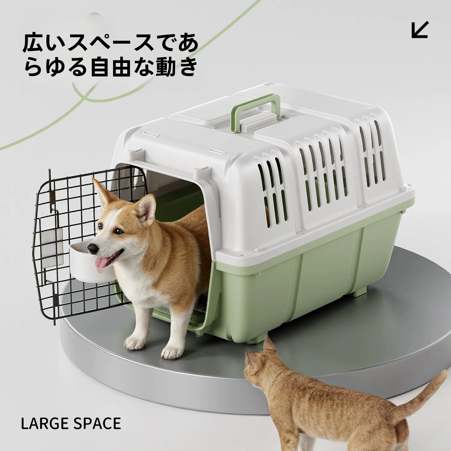 引っ越しでペットを一緒に運ぶのは難しい？そんなときの最強のアイテムはこれ！