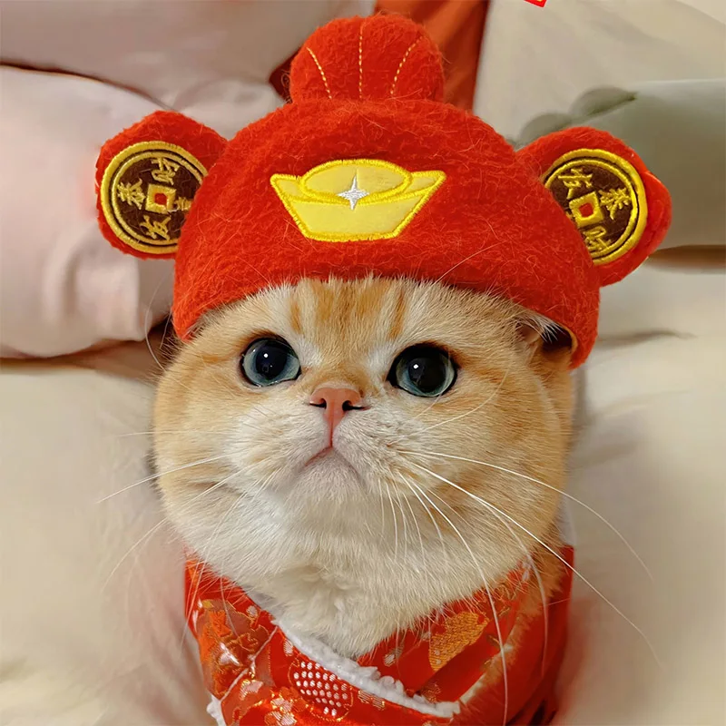 猫用カートゥーンデザインのキャップ：一人暮らしに最適な可愛さと実用性のバランス