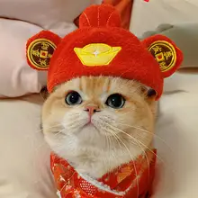 猫用カートゥーンデザインのキャップ【可愛い・金色グラデーション・ペット用】