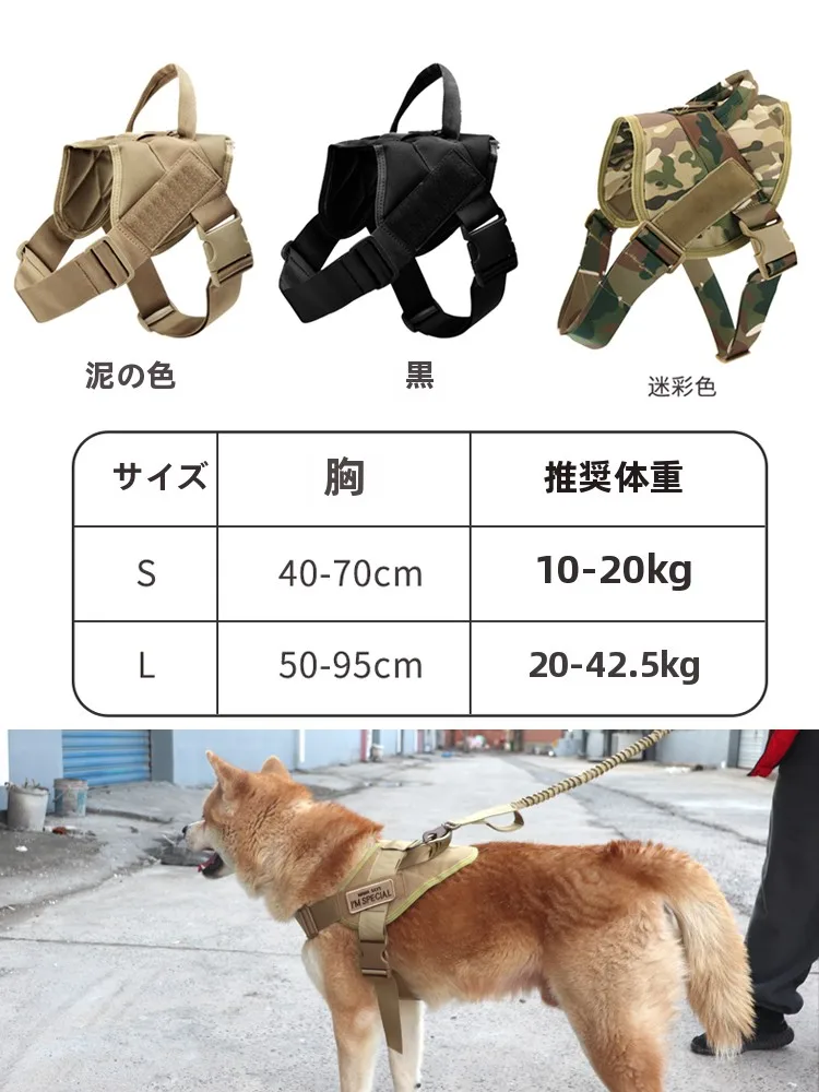 犬のお散歩グッズをコスパ良く揃える方法｜実測でわかるストレス軽減の秘訣