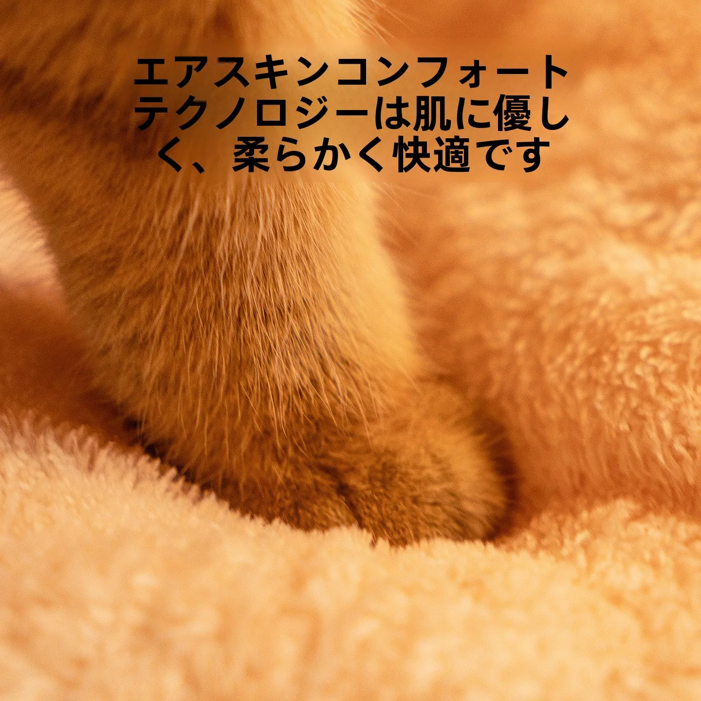 冬用猫用ハウス：一人暮らしに最適な保温型寝室の実用性と設置ガイド