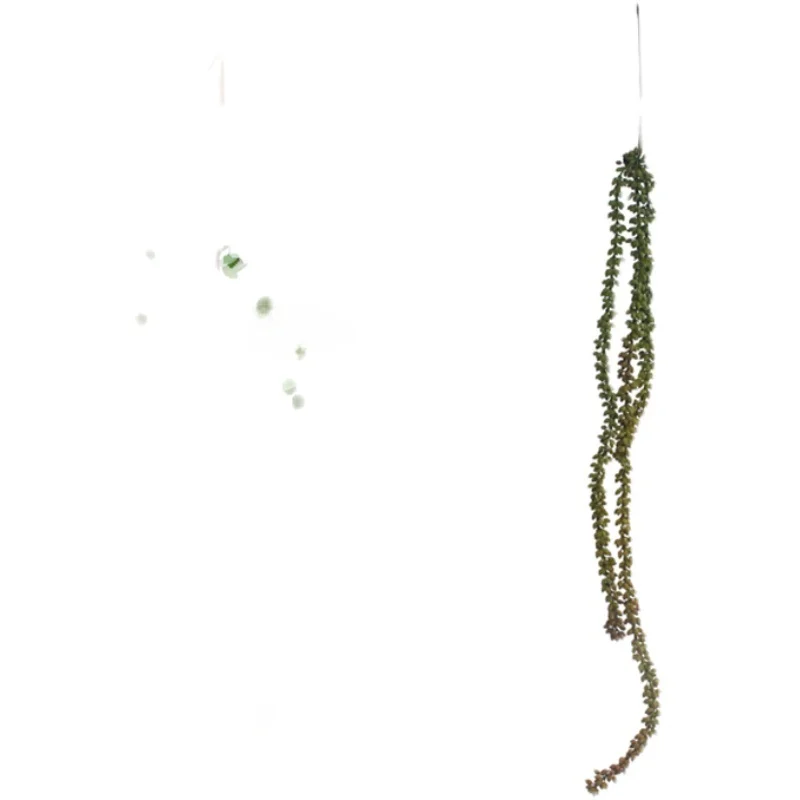 フェイクグリーン 蔓植物 吊り下げ装飾 金銭の葉 パーティー用 藤蔓の使い方とシーン別ガイド