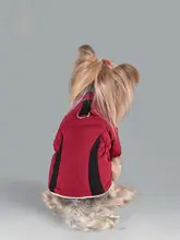 小型犬用 冬用防寒ジャンパー【保温性・リードフック付き・コーギー・ビションフリーゼ対応】