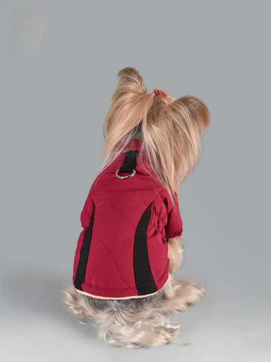 小型犬用 冬用防寒ジャンパー【保温性・リードフック付き・コーギー・ビションフリーゼ対応】
