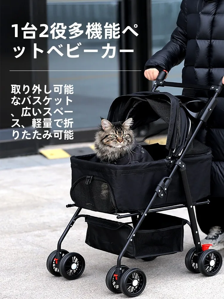 犬のお散歩グッズをコスパ良く揃える方法　完全ガイド