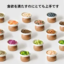 猫用陶器食器【高さ調整可能・実木ベース・防倒れ設計】