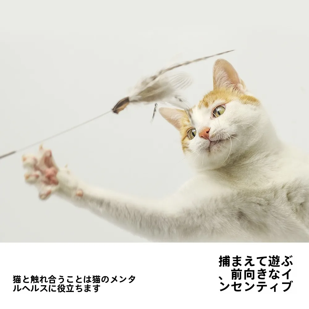 ショートブローとは何か：フェザー付きキャットボールの実際の使い方と効果