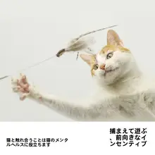 猫用おもちゃ フェザー付きキャットボール【鈴音・仿生デザイン・蝶形】