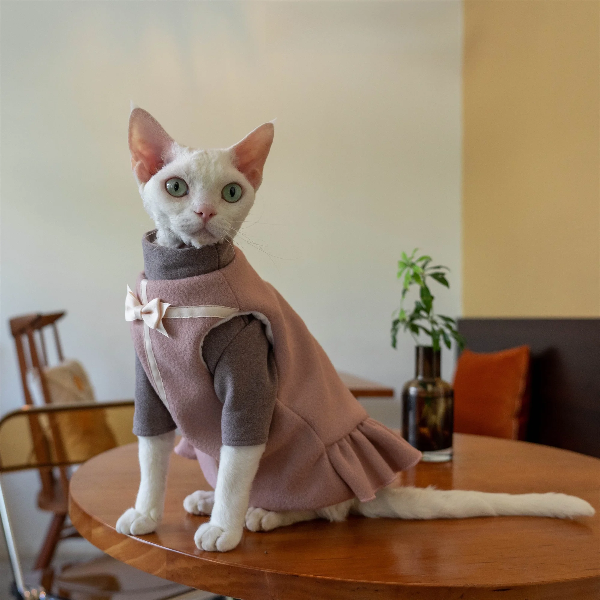 猫 ワンピース ベストギフト ウール フリース：冬期の猫向けファッションアイテムの実用性と適用範囲