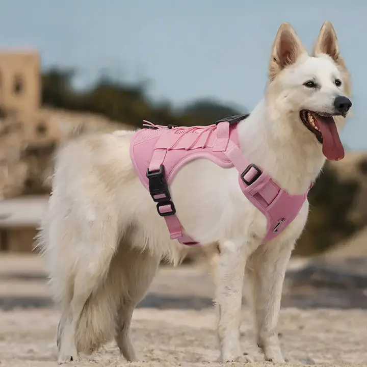 犬用通気性ハーネス付きリード【中型犬・大型犬対応・戦術仕様】