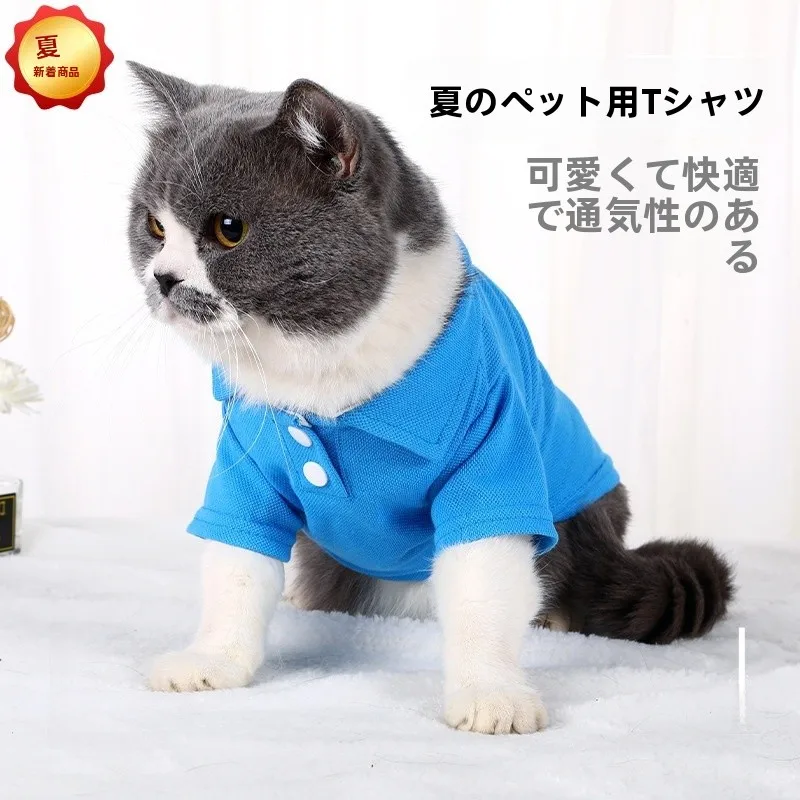 揃えるミニマリスト部屋づくりアイテム | セラミックゴミ箱とペットシャツの組み合わせガイド