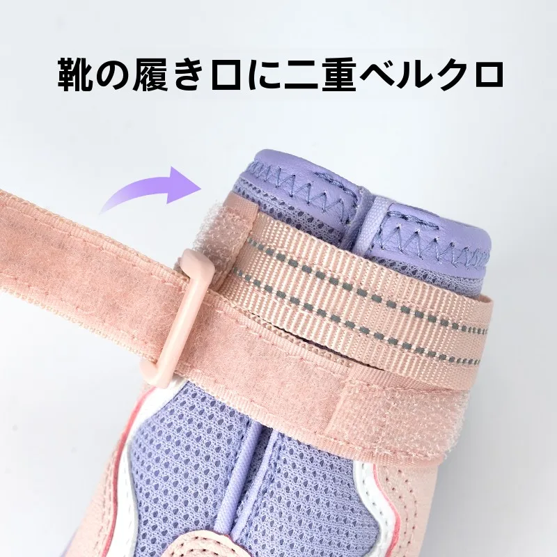 犬のお散歩グッズをコスパ良く揃える方法｜防汚・透湿機能でコストパフォーマンスを飛躍的に向上