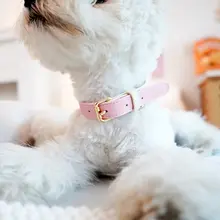 真皮製 犬用首輪とリード【中小型犬対応】