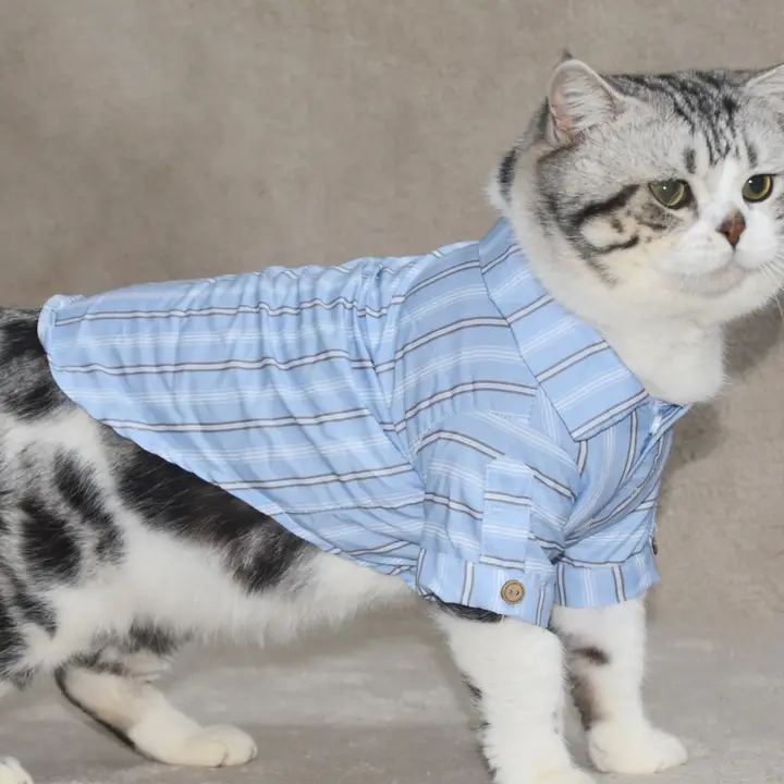 可愛いストライプのペットシャツ【コーギーやマルチーズに最適・春用・お出かけ用】（セットアップ対応）