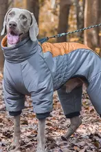 ペット用冬用四脚服【中大型犬・厚手・防寒・散歩用】