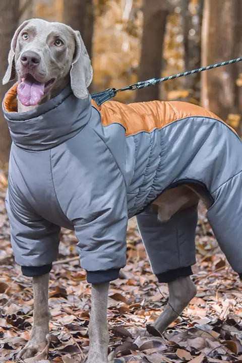 ペット用冬用四脚服【中大型犬・厚手・防寒・散歩用】