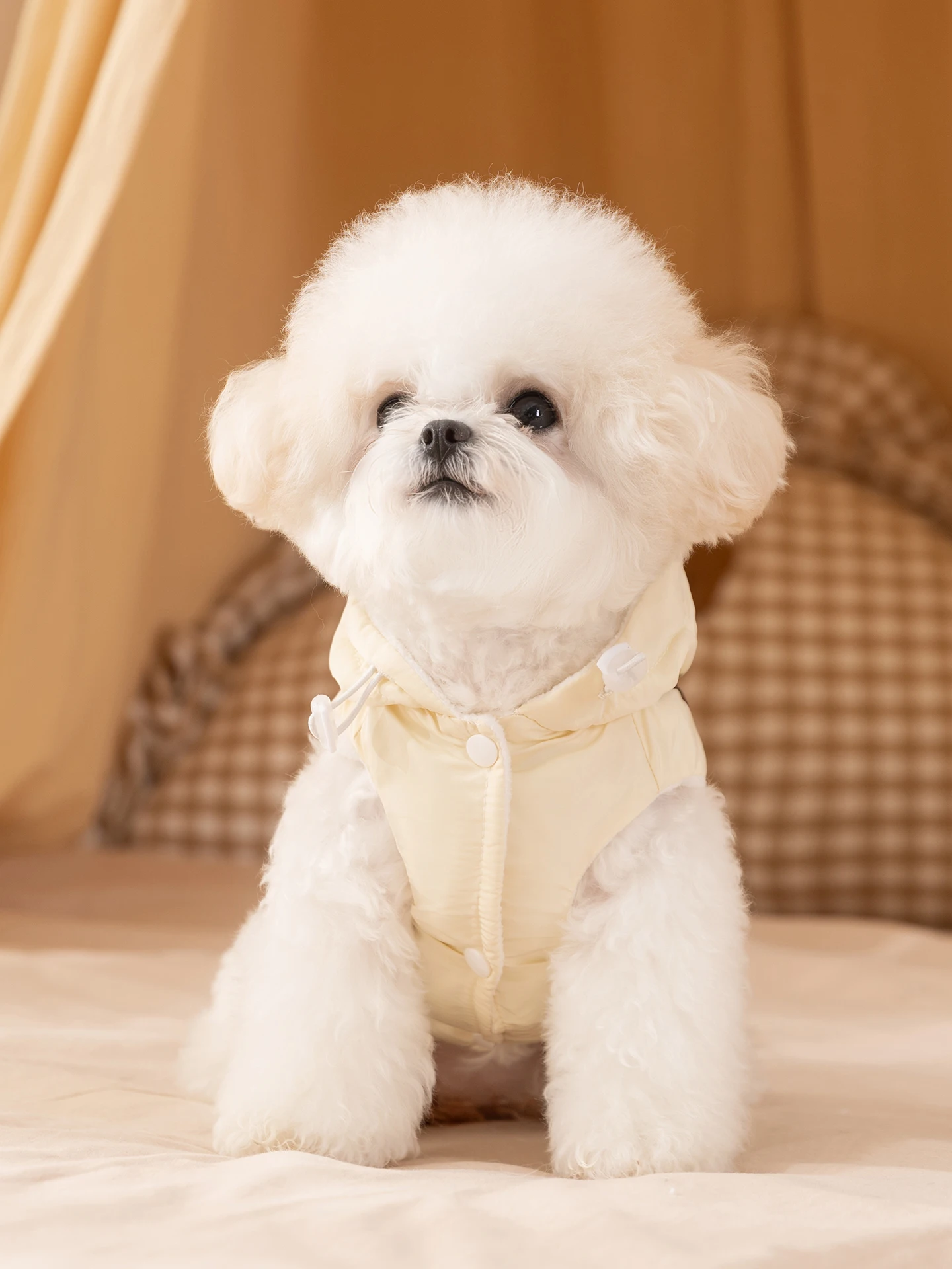 hipidog 冬用ペットウェアは小型犬の防寒性能を実証する