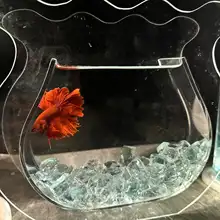アクリル製 テーブル用異  形金魚鉢【透明・小型・観賞用・エコ水槽デザイン】