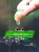 Menzerna 400研磨剤【水性ポリッシュ・自動車用・傷修復・高性能】