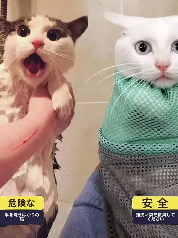 猫用バスバッグ多目的脱走防止調節可能：防災グッズとしての実用性と使い勝手の検証