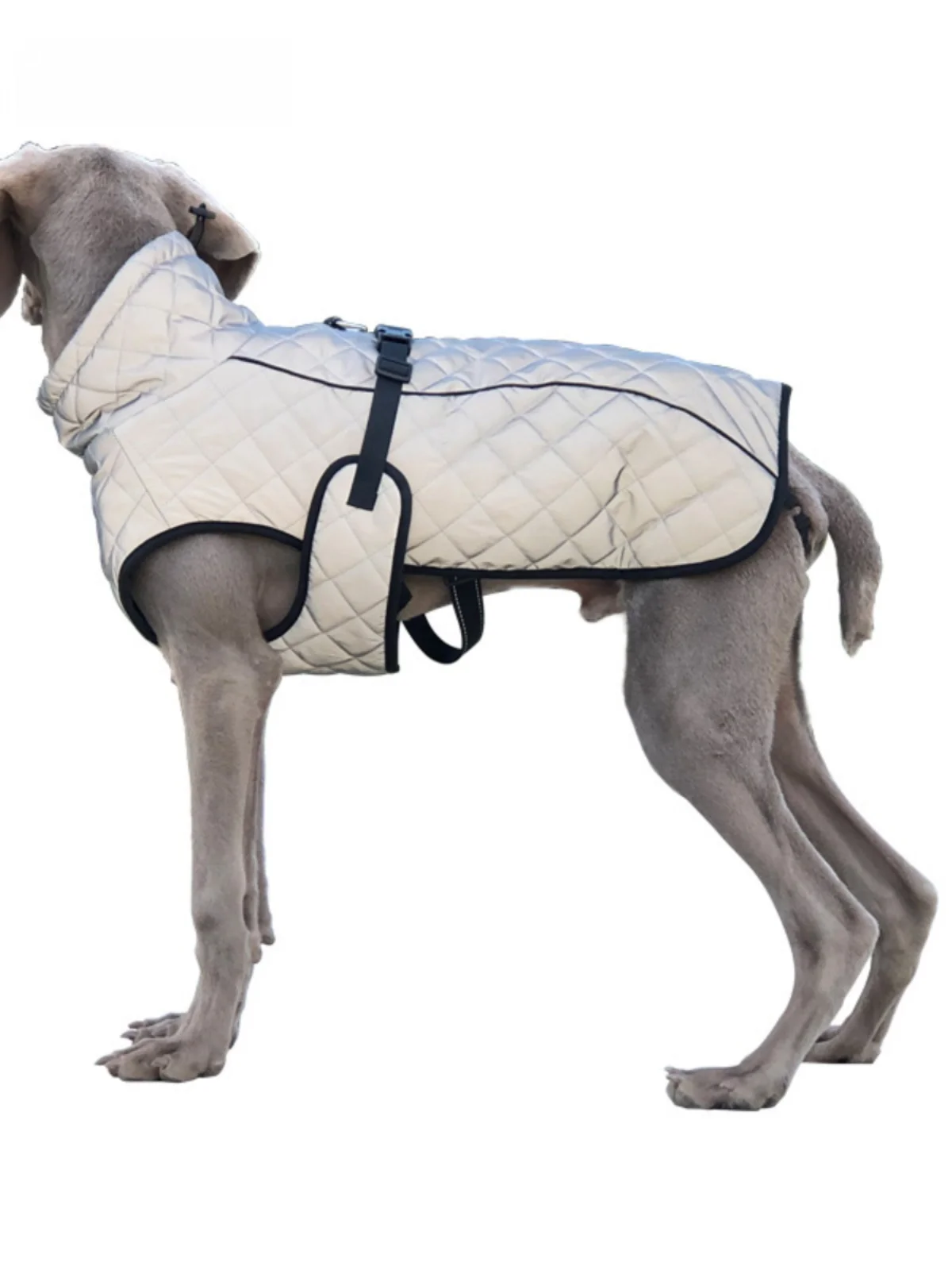 反射素材の犬用防風ジャケット：中型・大型犬向けの冬用保温設計