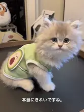 夏用猫服【毛防止・通気性抜群・涼感ベスト】