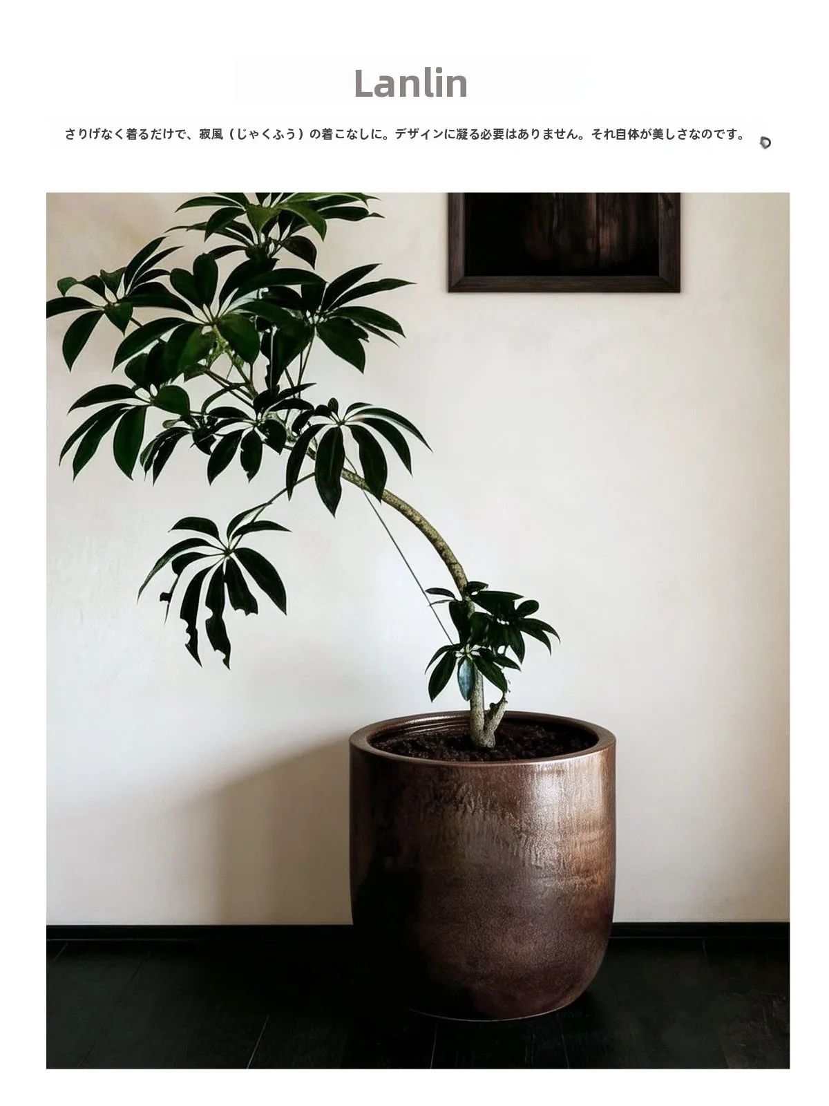 植木鉢を「おしゃれ」に選ぶには？陶器の魅力と、プラスチックとの違いを徹底解説