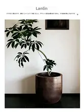 贅沢な雰囲気！景德鎮製 陶器花盆【大口径・室内用・スタイリッシュ】