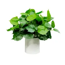 北欧風のフェイクグリーン植物【インテリア装飾・デスク用・小型盆栽】